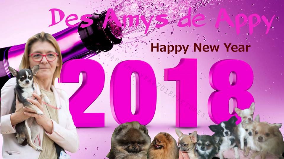 BONNE ET HEUREUSE ANNEE 2018